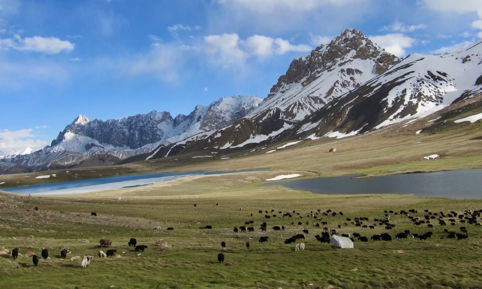 Shimshal Pass Trek