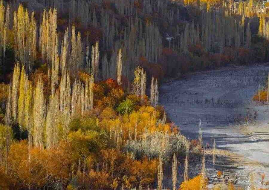 Kharmang valley