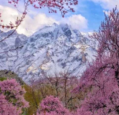 08 Days Tour to Skardu (By Road)