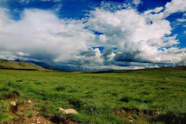 Deosai National Park