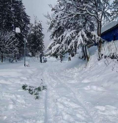 shogran weather