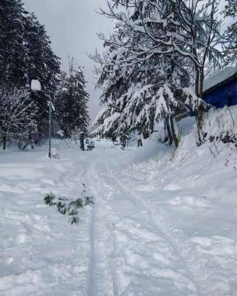 shogran weather