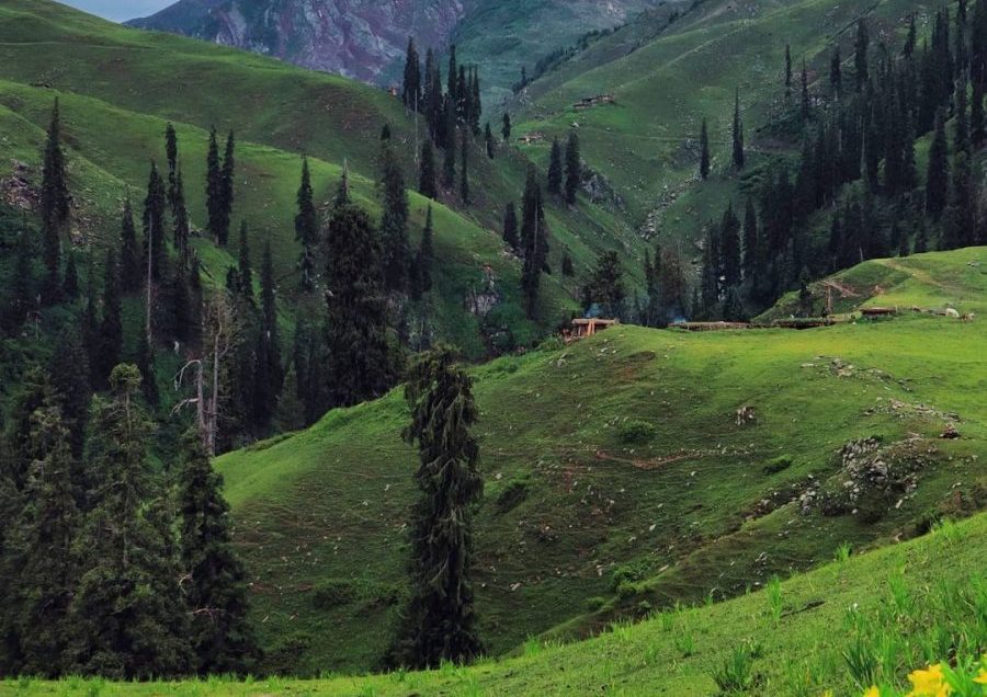 Siri Paye Meadows | Exploring Kaghan Valley